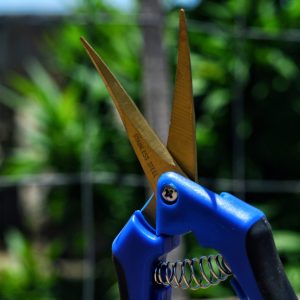 Curved Trimming Scissors