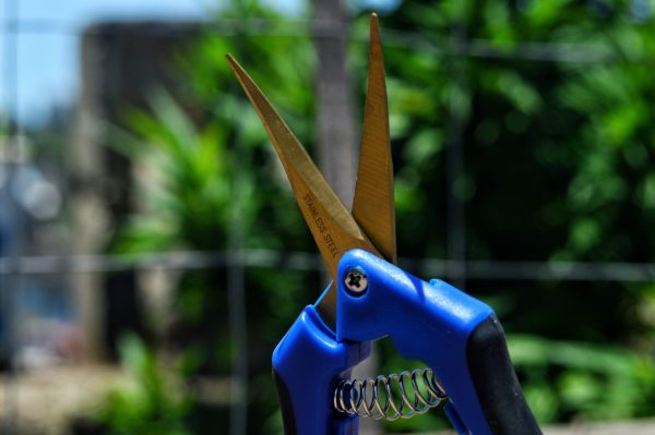 Curved Trimming Scissors