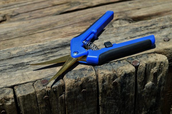 Curved Trimming Scissors - Image 2