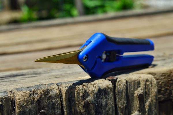 Curved Trimming Scissors - Image 7