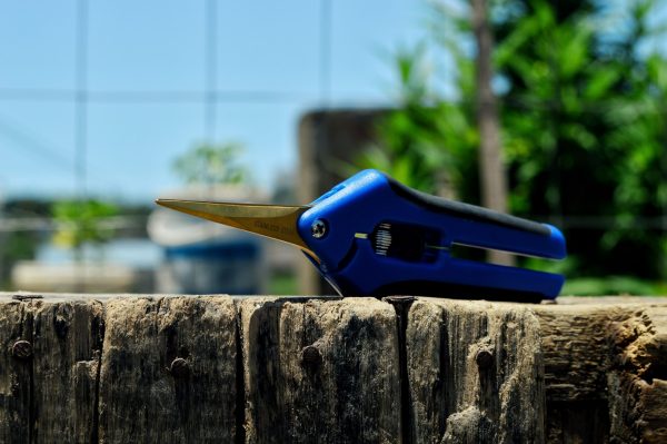 Curved Trimming Scissors - Image 6