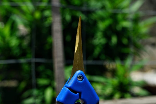 Curved Trimming Scissors - Image 5