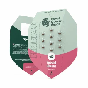 Special Queen 1 (05 seeds)